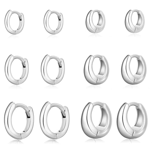 Wgoud Small Gold Hoop Earrings Set for Women, 6 Pairs 14K Gold Plated Hypoallergenic Lightweight Huggie Hoops Earrings, Trendy Cartilage Cubic Zirconia Earrings for Women Gifts. (01Silver)