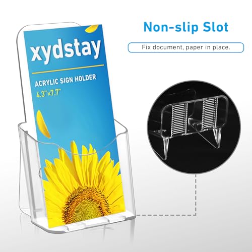 image for xydstay Acrylic Brochure Holder 4x9 Inches Slant Back Design, Clear Di