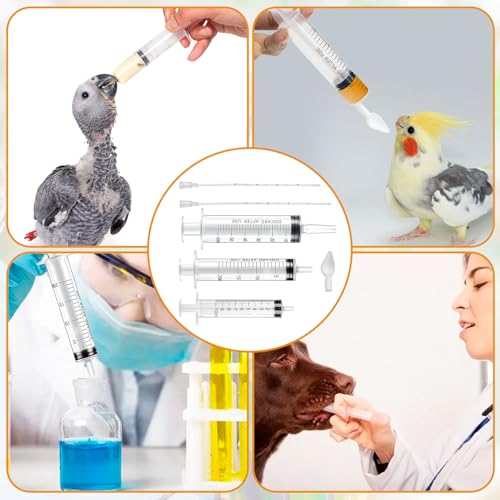 Conjunto de seringas de alimentação manual para papagaios, papagaios, pequenos animais de estimação,