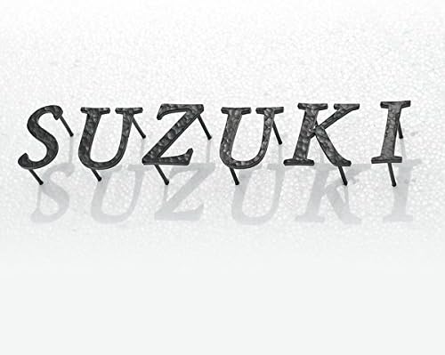 人気ショップが最安値挑戦 表札 アイアン アイアン表札 表札 戸建 表札 E２タイプ 叩き仕様 アルファベット ブロック体 レーザーカット ネームプレート 屋外 外構 人気のアイアン表札をレーザーカットできれいに仕上げました 30 Offアウトレットsale