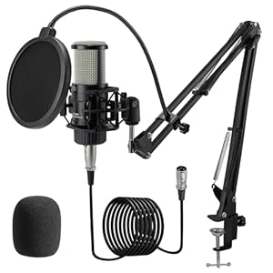 ALABS XLR Condenser Microphone, Professional Cardioid Recording Microphone Kit with 25mm Diaphragm for Streaming, Podcasting, Singing, Vocal, Studio Mic with Boom Arm, Pop Filter (AC22)