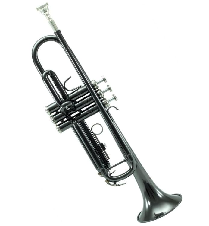 Sky Bb Trumpet with Case, Cloth, Gloves, and Valve Oil, Guarantee (Black Nickel)