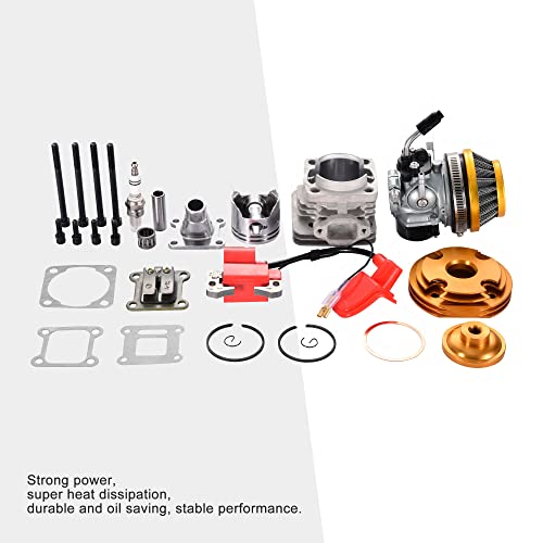 GOOFIT gold 44mm Kolben Zylinder Vergaser Luftfilter zündspule Set Big Bore 53ccm 54cc Top Kit von Für 47cc 49cc 2-takt Motor Tasche Atv Quad Motocross