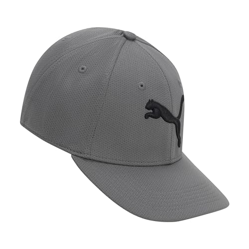 Puma Unisex-Adult Evercat Mesh Stretch Fit Cap