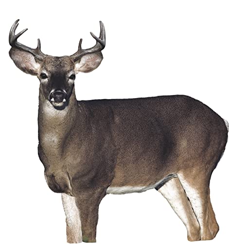 Montana Decoy Dream Team Buck And Doe, Multi #TOP1