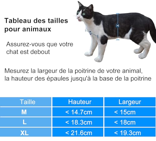 Chatière pour chat avec serrure rotative 4 voies version améliorée - 4