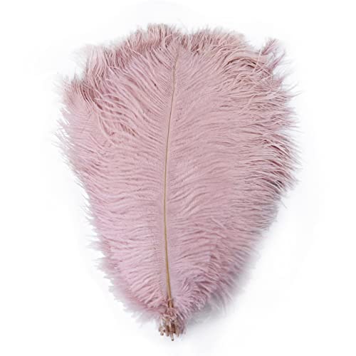 Plume d'autruche blanche naturelle 25-30cm décoration artisanat mariage