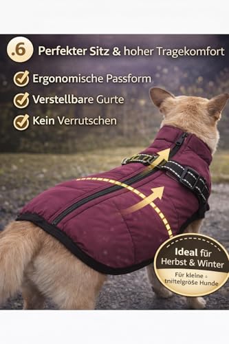 Hundejacke Winterweste Jacken Hundemantel Hundepullover Haustier Skifahren Kostüm Ärmellose Baumwolle Gepolsterte Weste Mit Brustgurt Gurt (Lila, M)