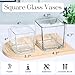 KEYWING 6 Pack Square Glass Vase 4