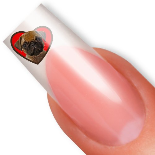 Nailart NAIL TATTOO STICKER - pug dog / heart - black / brown / red