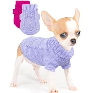 2 Pieces Dog Sweater for Small Dogs Chihuahua Clothes Spring Winter Cute Knitwear Turtleneck Thick Warm Clothes for Yorkie Cat Extra Small Dog Clothes (XX-Small)