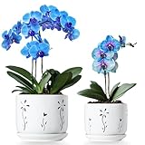 Thriving Thicket 2 Pack, 5 + 6 Inch White Orchid Pots with Holes and Saucer, Ceramic Orchid Planters for Repotting with Drainage Holes and Tray, Plant Flower Pot containers for Orchid Indoor Outdoor
