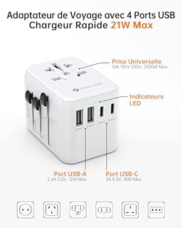 NOVOO Adaptateur de Voyage Universel Adaptateur Prise Universelle PD 21W avec 2 USB et 2 Type C Adaptateur Universel France vers USA UK Allemagne Australie Chine Japon