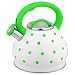 AWJ Bouilloire, théière sifflante cafetière avec poignée Ergonomique adaptée à Tous Les Types de plaques/cuisinières, y Compris l'induction pour Le Style rétro en Acier inoxydab
