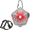Ruffwear, Front Range Dog Harness & Beacon Light Bundle No Pull Dog Harness with Rechargeable Light for Collar, Night Walking & Hiking, Adjustable Padded Vest, Basalt Gray, X-Small