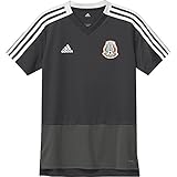 adidas Mexico Men's Training Jersey World Cup 2018 (Black) (YL)