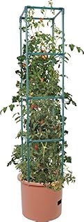 Hydrofarm GCTB2 Heavy Duty Tomato Barrel with 4' Tower, Green