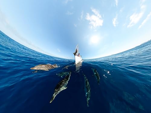 GoPro-MAX--Waterproof-360-Traditional-Action-Camera-with-Touch-Screen-Spherical-56K30-HD-Video-166MP-360-Photos-1080p-Live-Streaming-Stabilization