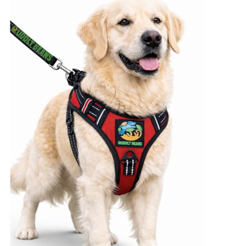 Image of Adjustable Padded Dog Harness with Leash, Red, M (16-24 kg)