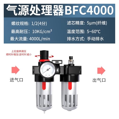 Filtro para bomba de aire que separa aceite y agua modelo BFC4000 2
