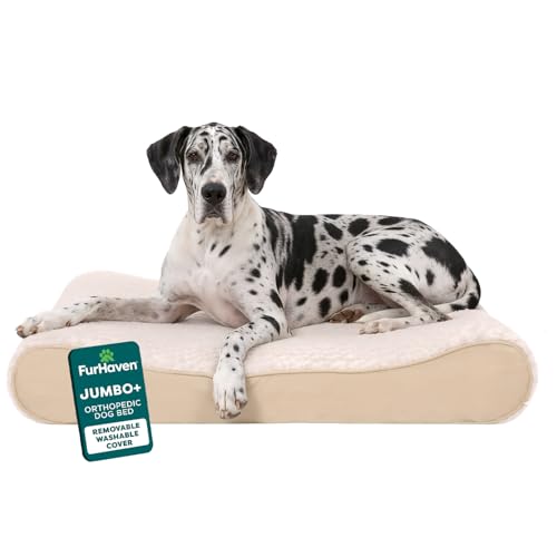 Image of FurHaven Orthopedic Dog Bed for Large Dogs, Luxe Lounger Contour Mattress with Solid Orthopedic Foam Slab for Joint Support, Removable Washable Cover - Jumbo Plus XXL, Plush Suede, Cream
