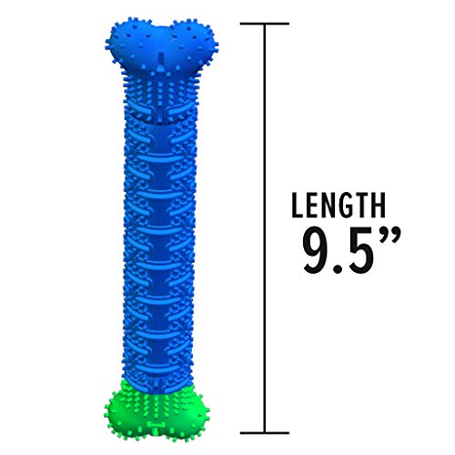 Image of BulbHead Chewbrush Toothbrush and Toy - No Dog Toothpaste Required - Great Teeth Cleaning Toy (1 Pack)