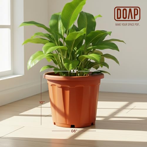 Image of DOAP UV Protected 12 inch Plastic Garden Large Flower Pots, Terracotta Color, Pack of 5, Indoor & Outdoor Balcony Planter, 12x10 Inch Gamla, Weather Proof, Non-Fading, Lightweight (5, Terracotta)