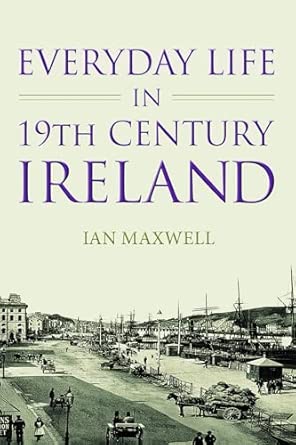 Everyday Life in 19th Century Ireland book cover