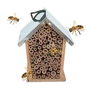 Generisch Hängendes Bienenhotel USCFXRWOIH6UC7PV Bienenhaus