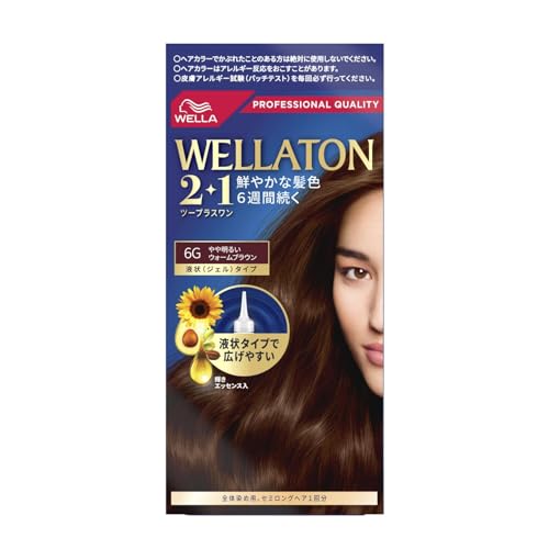 EGg[2+1 t^Cv 6G [򕔊Oi](Ȕ) 2Zbg