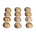 Hermit Crab Shells | Turbo Shells | 12 Natica Lineata Shells 3/4