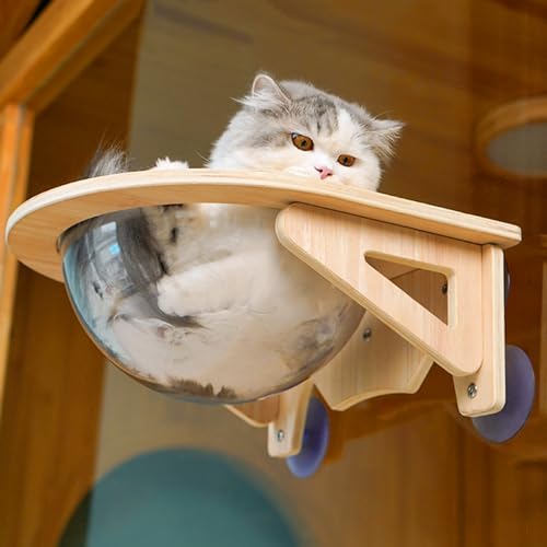 ARCVOX Acrylic Cat Window Perch for Indoor Cats, 20kg/30kg Load Bearing Cat Hammock, Cat Window Seat with Suction Cups, Sunny Seat Sun Bath for Large Cats (Size : Size M)