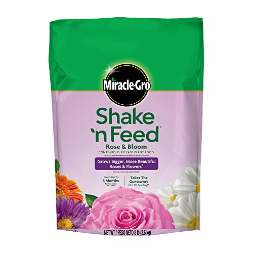 Miracle-Gro Shake 'n Feed Continuous Release Rose and Bloom Plant Food, 8-Pound (Slow Release Plant Fertilizer) Miracle-Gro Shake 'n Feed Continuous Release Rose and Bloom Plant Food, 8-Pound (Slow Release Plant Fertilizer)