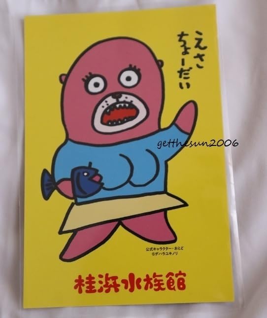 デハラユキノリ　オトド　OTODO 桂浜水族館　フィギュア Amazon.co.jp: レア 桂浜水族館 おとどちゃん OTODO イラスト ハガキ