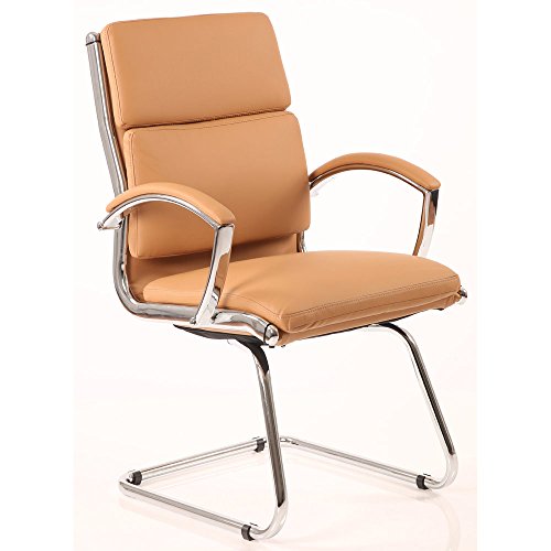 Image of Dynamic Classic Visitor Cantilever Chair with Arms - Black