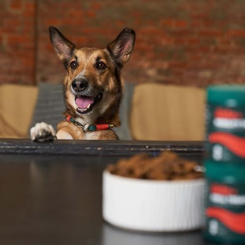 liebs Hunde Supplement Verdauung, Darm & Magen (10 x 15g) Relief Snack | Heilmoor für Hunde mit empfindlichen Magen | Dog Treats unterstützen die Normale Verdauung | Kohletabletten | 100% pflanzlich
