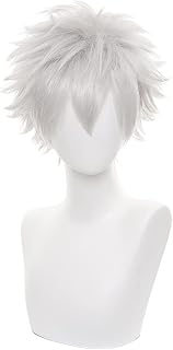 Sakata Gintoki Wig, Gintama Sakata Gintoki Cosplay Wig with Wig Cap, Length approx.30cm
