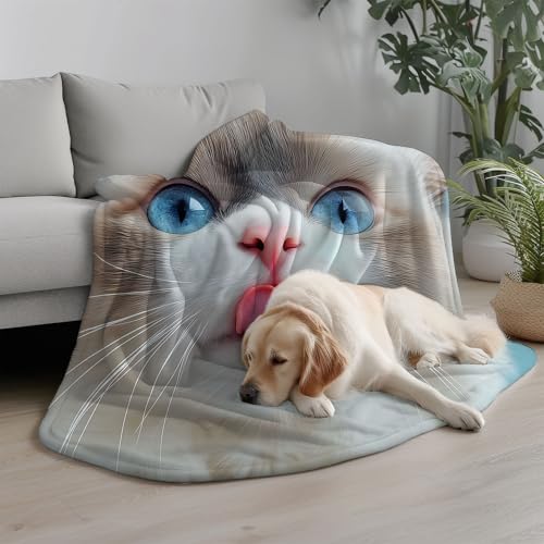 Couverture lit chat mignon kawaii pour des soirées cocooning au salon