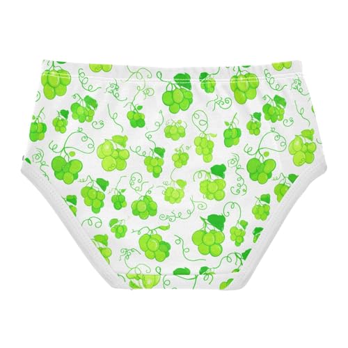 Fruit Grape Toddler Girls's Underwear 2T 23022082