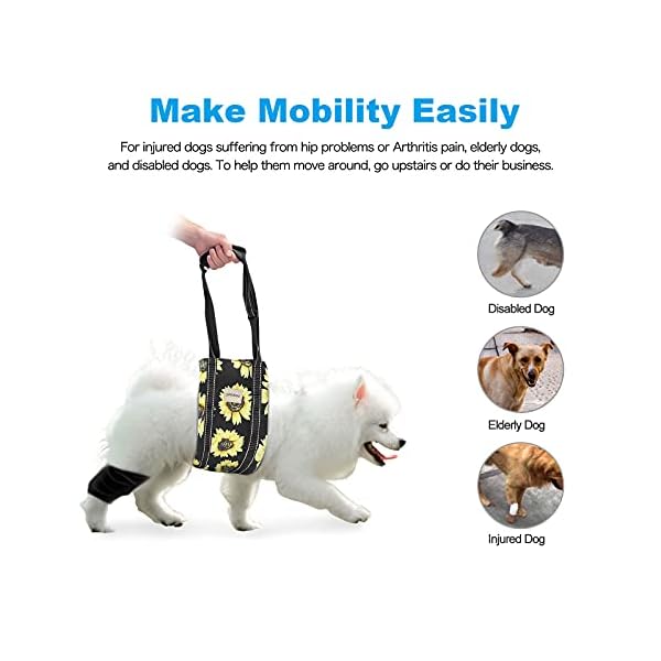 dog hip sling