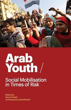 Arab Youth: Social Mobilization in Times of Risk book cover