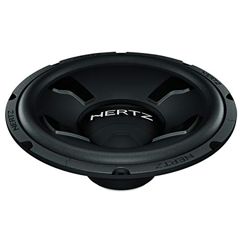 ds12 subwoofer