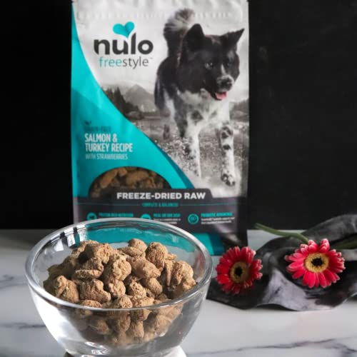 Image of Nulo Freestyle Freeze-Dried Raw, Ultra-Rich Grain-Free Dry Dog Food for All Breeds and Life Stages with BC30 Probiotic for Digestive and Immune Health 13 Ounce (Pack of 1)