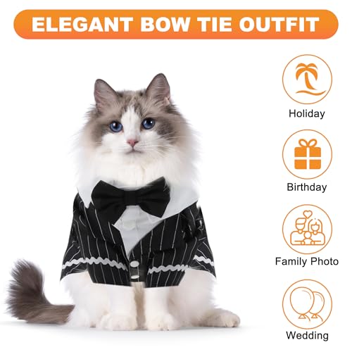 #1 Best Cat Apparel Stylish - Premium Pet Apparel Set - Image 4