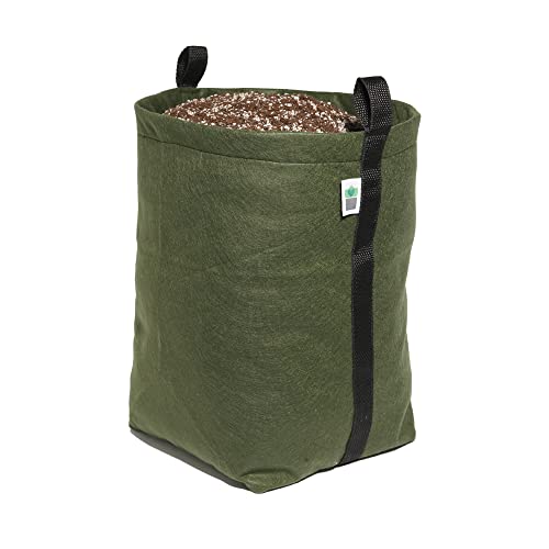 2 Vasos Plantas Feltro 30 Litros King Pot (Verde)
