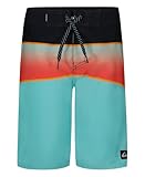Quiksilver Boys' Boardshorts with UPF 50+ Sun Protection, Quick Dry Swim Shorts, Aqua Everyday Panel, 27/14