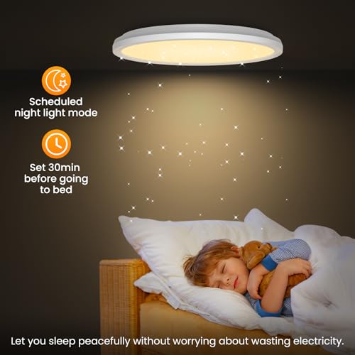 Plafonnier LED Dimmable idéal pour le salon et la chambre à coucher - 6
