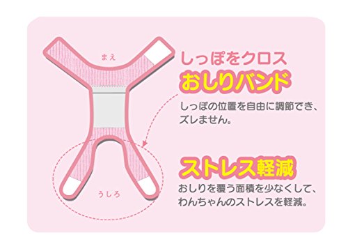 犬のそそうで困ったらマナーウェアやマナーベルトを使うと快適