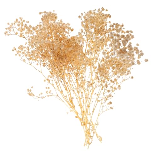 Ramo de Flores Secas Gypsophila para Decoración miniatura 1