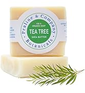 Tea Tree Soap | Organic Handmade Hand and Bath Soap for Oily Skin - 4oz / 110 gr by Praline & Co.